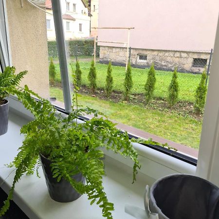 Apartament Przy Rondzie 克沃兹科 外观 照片